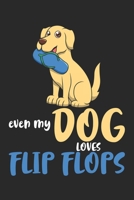 Even My Dog Loves Flip Flops: DIN A5 Hund Flip Flops Notizheft gepunktet | 120 Seiten gepunktetes Hund Flip Flops Notizbuch für Notizen in Schule, ... | Eine tolles Geschenk für Ihre Liebsten. 1672264030 Book Cover