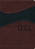 Remnant Study Bible- Leathersoft Burgundy 0718027361 Book Cover