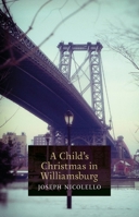 A Child's Christmas in Williamsburg 1621386554 Book Cover