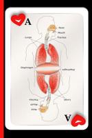 Playing Cards for Nurses: College Ruled Notebook: Body Parts Defined on a Heart Card 1079345280 Book Cover