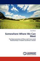 Somewhere Where We Can Meet: The Representation of Place and Cross-racial Relationships in Nadine Gordimer's Novels 3848449560 Book Cover