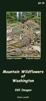 Mountain Wildflowers of Washington: 265 Images 0615517633 Book Cover