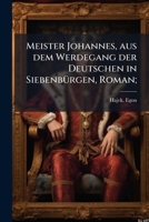 Meister Johannes, aus dem Werdegang der Deutschen in Siebenbürgen, Roman; 1179150791 Book Cover