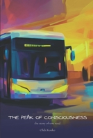 THE PEAK OF CONSCIOUSNESS: the story of one road (QUANTUM WONDER) B0DV5HJM2K Book Cover