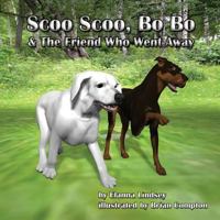 Scoo Scoo, Bo Bo and the Friend who went away 0615948790 Book Cover