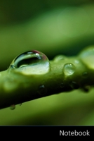 Notebook: Goccia D'Acqua, Acqua, Goccia A Goccia, Bellezza agenda / quaderno delle annotazioni / diario/ libro di scrittura / taccuino / carnet / zibaldone - 6 x 9 pollici (15,24 x 22,86 cm), 150 pagi 170149275X Book Cover