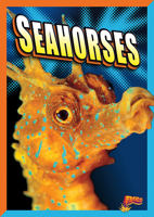 Seahorses 1623102855 Book Cover
