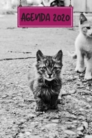 Agenda 2020: Hebdomadaire 1 Semaine par page Format A5 | Janvier 2020 à Décembre 2020 | Planificateur Organiseur Semainier avec Calendrier et Carnet ... Pour les Amoureux des Chats (French Edition) 1711294047 Book Cover