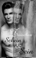Zwischen Schein und Sein (Gay Romance) 1537196839 Book Cover