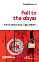 Fall to the abyss: Tunisia from revolution to pandemic (Socio-Anthropologie Des Mondes Méditerranéens) 2343231753 Book Cover