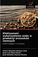 Efektywność wykorzystania wody w produkcji orzeszków ziemnych: (Arachis hipogaea L.) w Chihuahua 620331644X Book Cover