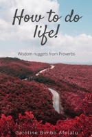 How to do life: Wisdom Nuggets From Proverbs 0957475578 Book Cover