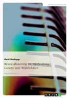 Resozialisierung Im Strafvollzug. Gesetz Und Wirklichkeit 3638704122 Book Cover