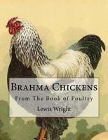 Brahma Chickens: From the Book of Poultry 1979401861 Book Cover