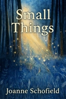 Small Things B0GJ58F2ZN Book Cover