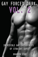 Gay Forced Dark: Vol. 2 - Incredible Gay Experiences of Straight Guys B08PJPQTY5 Book Cover