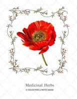 Medicinal Herbs : A Collection and Notes Book, Blank Notebook for Herbalist, Herbology, Herbal Medicine, Half Blank Half College Ruled, 50 Pages 25 Sheets, 8. 5x11 in. Journal Notebook 1724779680 Book Cover