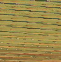 Catch and Release: A Fezzy Wog Adventure 1936993015 Book Cover