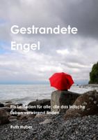 Gestrandete Engel 3952251313 Book Cover