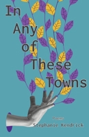 In Any of These Towns B0B8R6LGHQ Book Cover