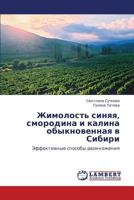 Zhimolost' sinyaya, smorodina i kalina obyknovennaya v Sibiri 384842424X Book Cover