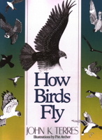 How Birds Fly 0060970995 Book Cover