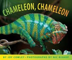 Chameleon Chameleon 0439781116 Book Cover