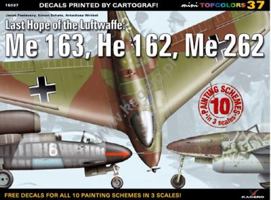 Last Hope of the Luftwaffe: Me 163, He 162, Me 262 8362878711 Book Cover