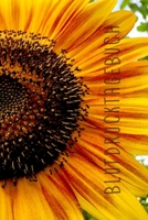 Blutdrucktagebuch: Zum Erfassen des Blutdrucks Format 6 x 9 Zoll Softcover matt Blutdruck im �berblick Zeilen f�r 1534 Eintragungen 1699422109 Book Cover