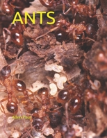 ANTS B09C3L6LK4 Book Cover