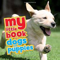 My Little Book of Dogs & Puppies 1435164148 Book Cover