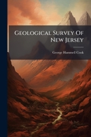 Geological Survey Of New Jersey: Report On A Survey Of The Boundary Line Between New Jersey And New York, Made In July And Aug., 1874 1246568055 Book Cover