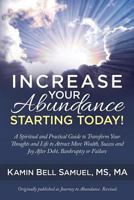 Increase Your Abundance Starting Today!: A Spiritual and Practical Guide to Transform Your Thoughts and Life to Attract More Wealth, Success and Joy After Debt, Bankruptcy or Failure 0980022398 Book Cover