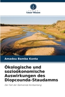 Ökologische und sozioökonomische Auswirkungen des Diopcounda-Staudamms: Der Fall der Gemeinde Kolibantang 6204056565 Book Cover