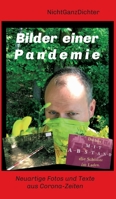 Bilder einer Pandemie: Neuartige Fotos und Texte aus Corona-Zeiten 3347087194 Book Cover