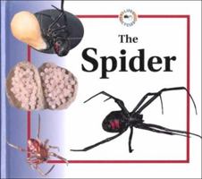 The Spider (Crewe, Sabrina. Life Cycles.) 0817243801 Book Cover