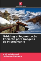 Gridding e Segmentação Eficiente para Imagens de Microarranjo (Portuguese Edition) 6204800191 Book Cover