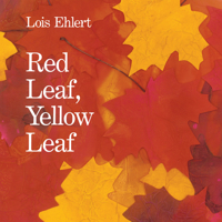 Red Leaf, Yellow Leaf 0152661972 Book Cover