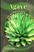 Agave: Why my Plant not grow? problems and their solutions B0CL52S79Q Book Cover