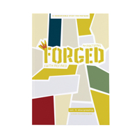 Forged: Faith Refined, Volume 4 Preteen Discipleship Guide 1430069619 Book Cover