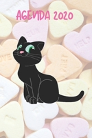 Agenda 2020: Hebdomadaire 1 Semaine par page Format A5 | Janvier 2020 à Décembre 2020 | Planificateur Organiseur Semainier avec Calendrier et Carnet ... Pour les Amoureux des Chats (French Edition) 1711295124 Book Cover