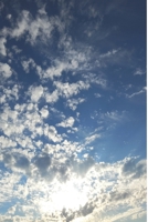 Ent- Und Zer-Denker(innen) null Book Cover