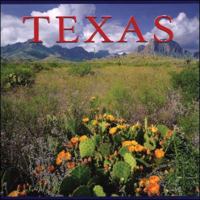 Texas (America Series) 1551109492 Book Cover