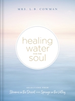 Healing Water for the Soul 0310365147 Book Cover