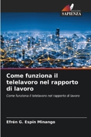 Come funziona il telelavoro nel rapporto di lavoro (Italian Edition) 620849009X Book Cover
