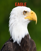Eagle: Beautiful Pictures & Interesting Facts Children Book About Eagle B096LMSSZX Book Cover