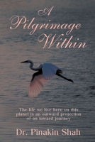 A Pilgrimage Within: The life we live here on this planet is an outward projection of an inward journey 1649195079 Book Cover