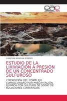 ESTUDIO DE LA LIXIVIACIÓN A PRESIÓN DE UN CONCENTRADO SULFUROSO: Y REMOCIÓN DEL COMPLEJO CUPROCIANURO POR PRECIPITACIÓN QUÍMICA CON SULFURO DE SODIO DE SOLUCIONES CIANURADAS 6203038024 Book Cover