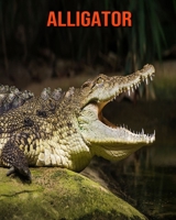 Alligator: Learn About Alligator and Enjoy Colorful Pictures B08MHRNMV9 Book Cover