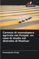 Carenza di manodopera agricola nel Punjab: un caso di studio nel distretto di Muktsar (Italian Edition) 6208866847 Book Cover